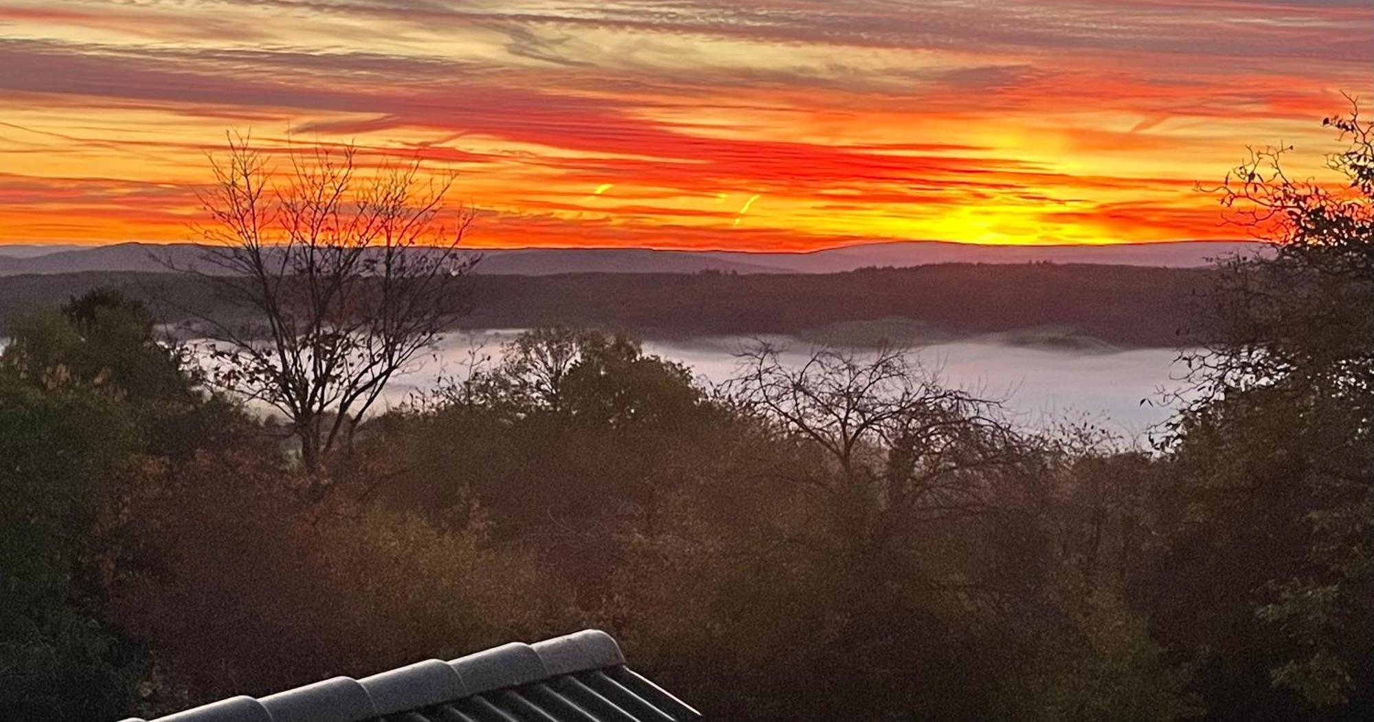 Ferienwohnung Eifel Mosel Hunsrueck Bergweiler المظهر الخارجي الصورة